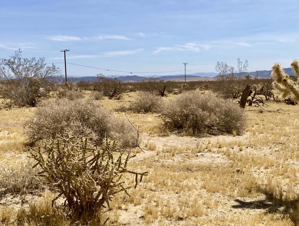 62585 Two Mile Road Joshua Tree, CA 92252