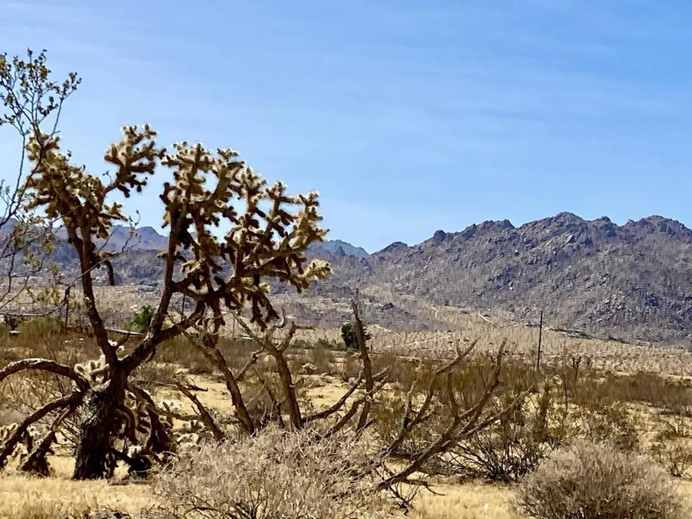 62585 Two Mile Road Joshua Tree, CA 92252