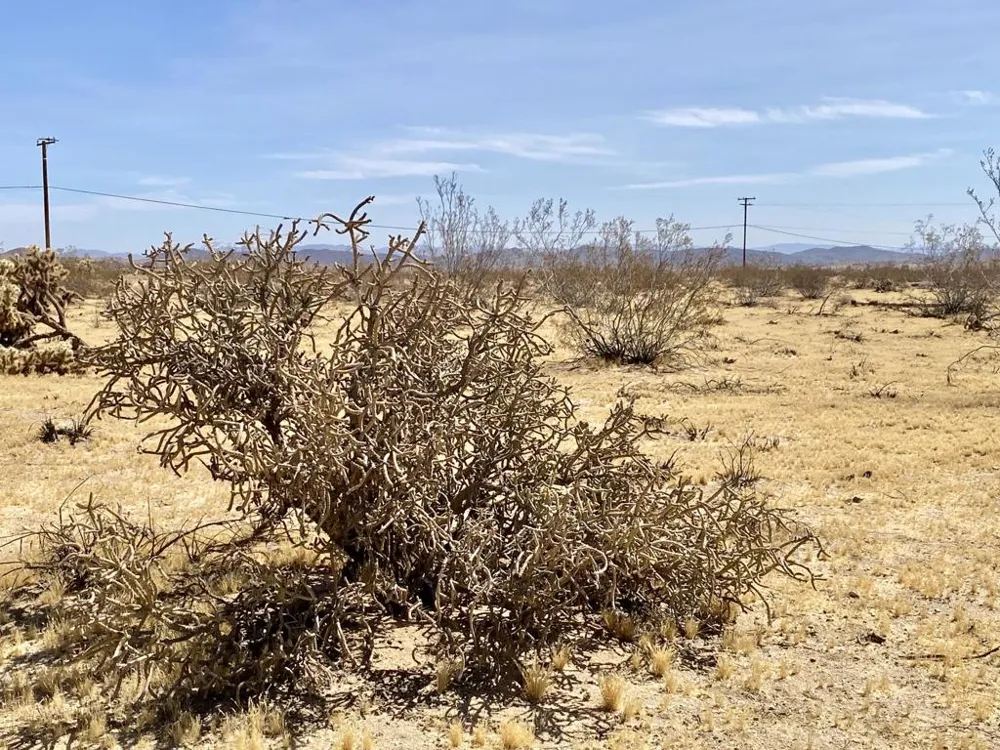 62585 Two Mile Road Joshua Tree, CA 92252