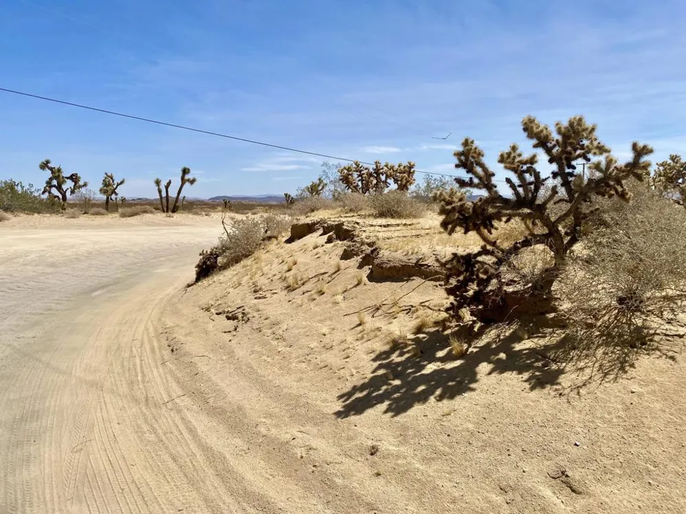 62585 Two Mile Road Joshua Tree, CA 92252