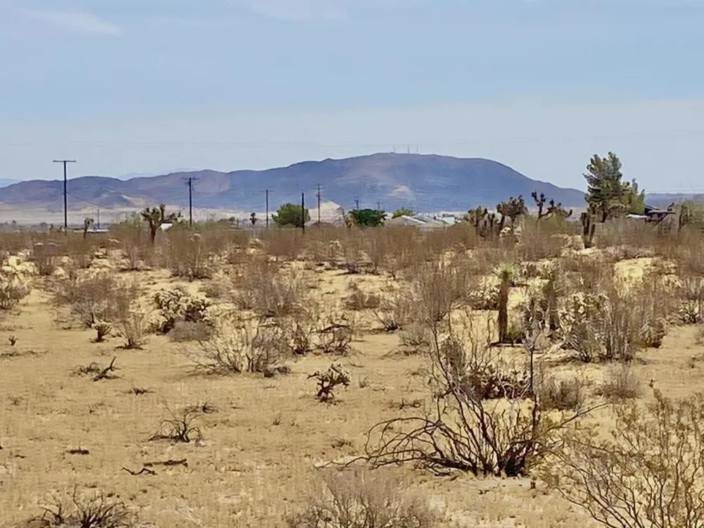 62585 Two Mile Road Joshua Tree, CA 92252