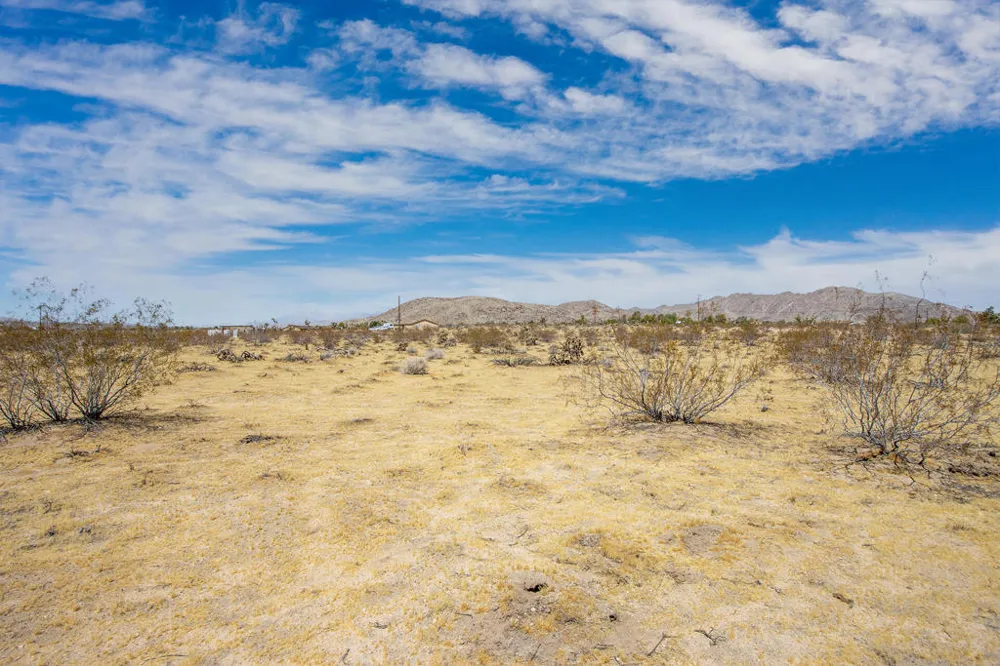 62585 Two Mile Road Joshua Tree, CA 92252