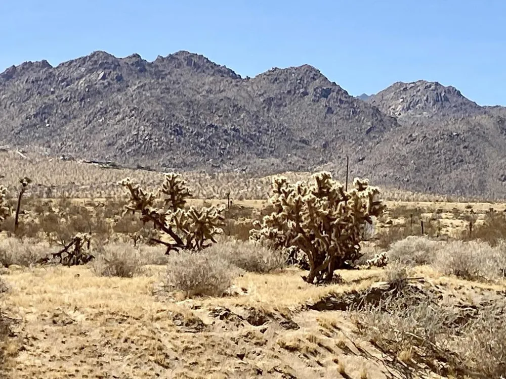 62585 Two Mile Road Joshua Tree, CA 92252