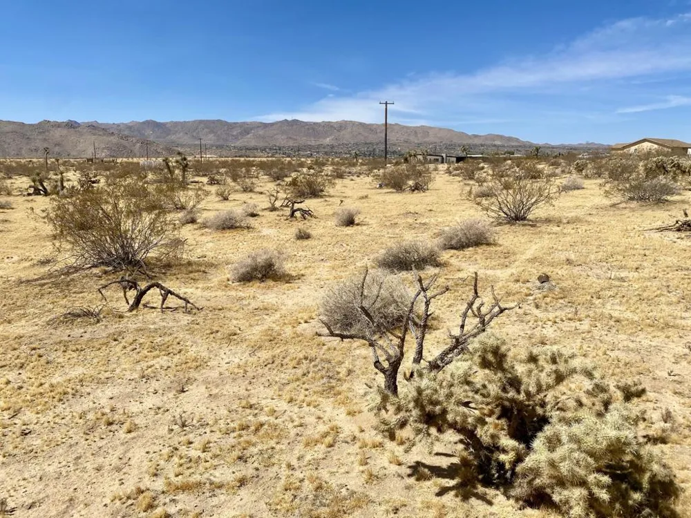62585 Two Mile Road Joshua Tree, CA 92252
