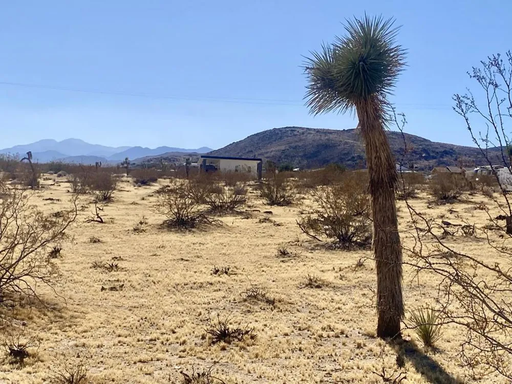 109 Border Avenue Joshua Tree, CA 92252