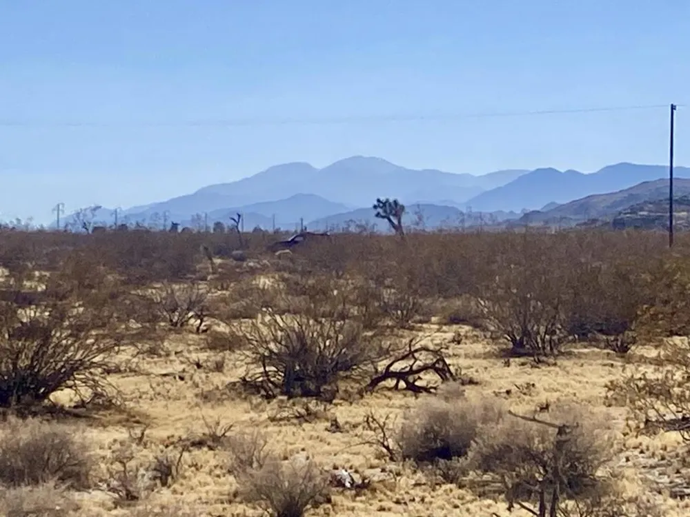 109 Border Avenue Joshua Tree, CA 92252