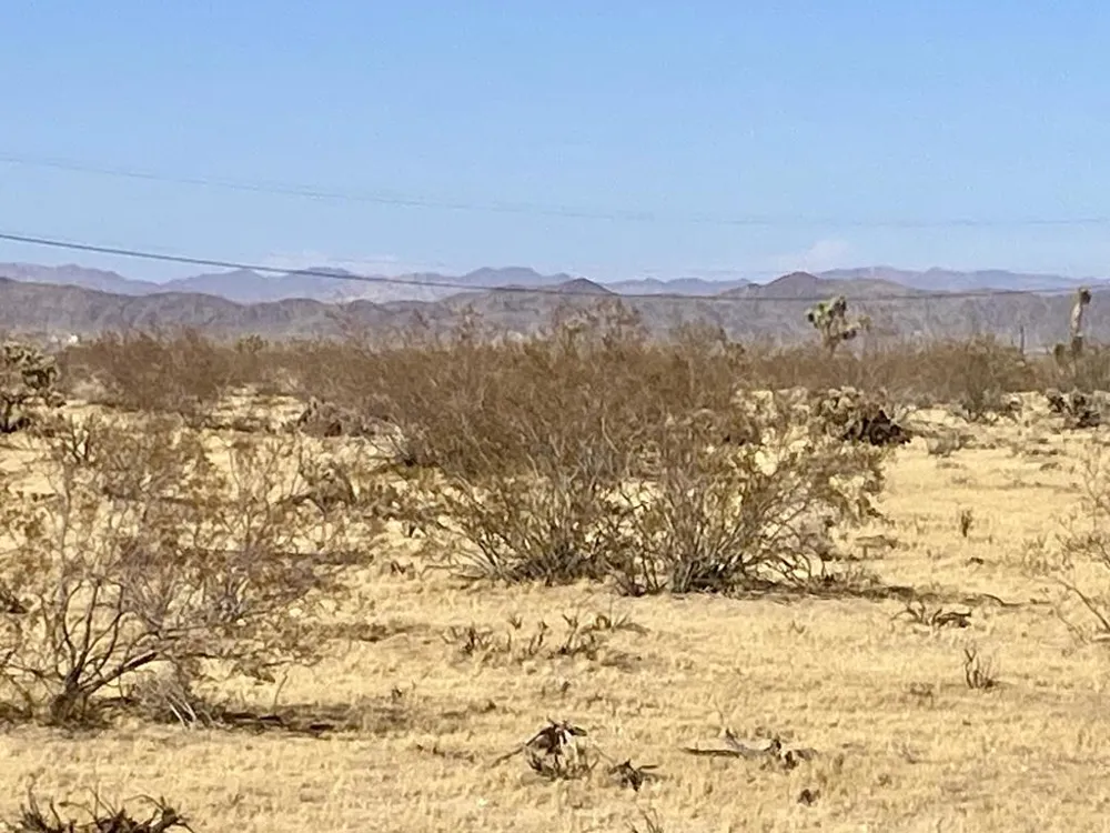 109 Border Avenue Joshua Tree, CA 92252