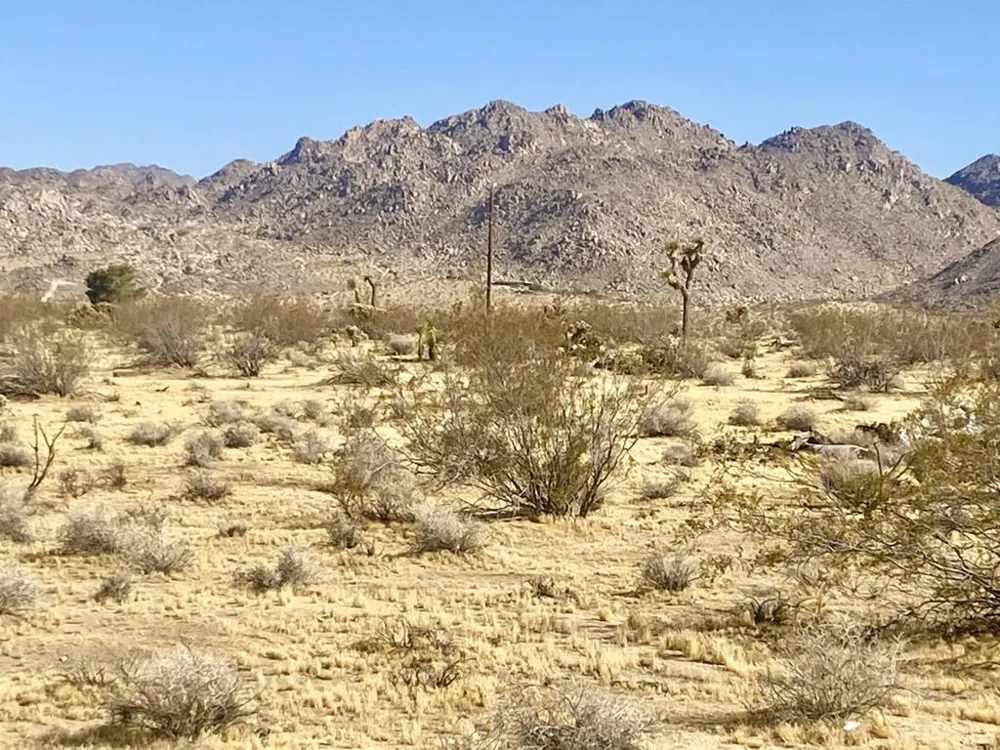 109 Border Avenue Joshua Tree, CA 92252
