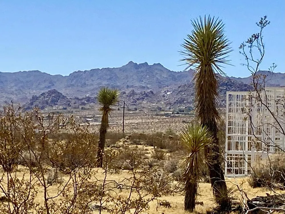 109 Border Avenue Joshua Tree, CA 92252