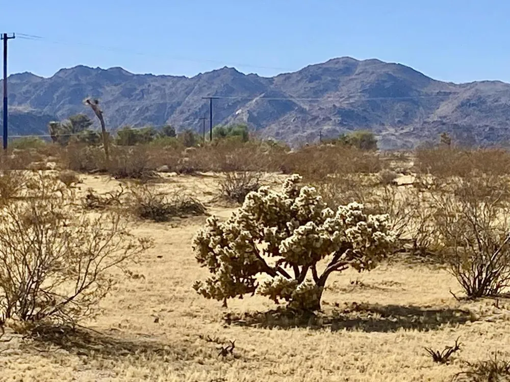 109 Border Avenue Joshua Tree, CA 92252