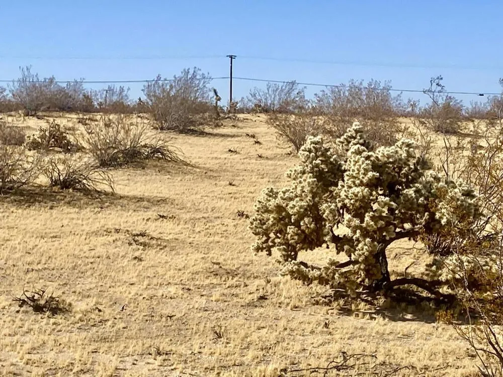 109 Border Avenue Joshua Tree, CA 92252