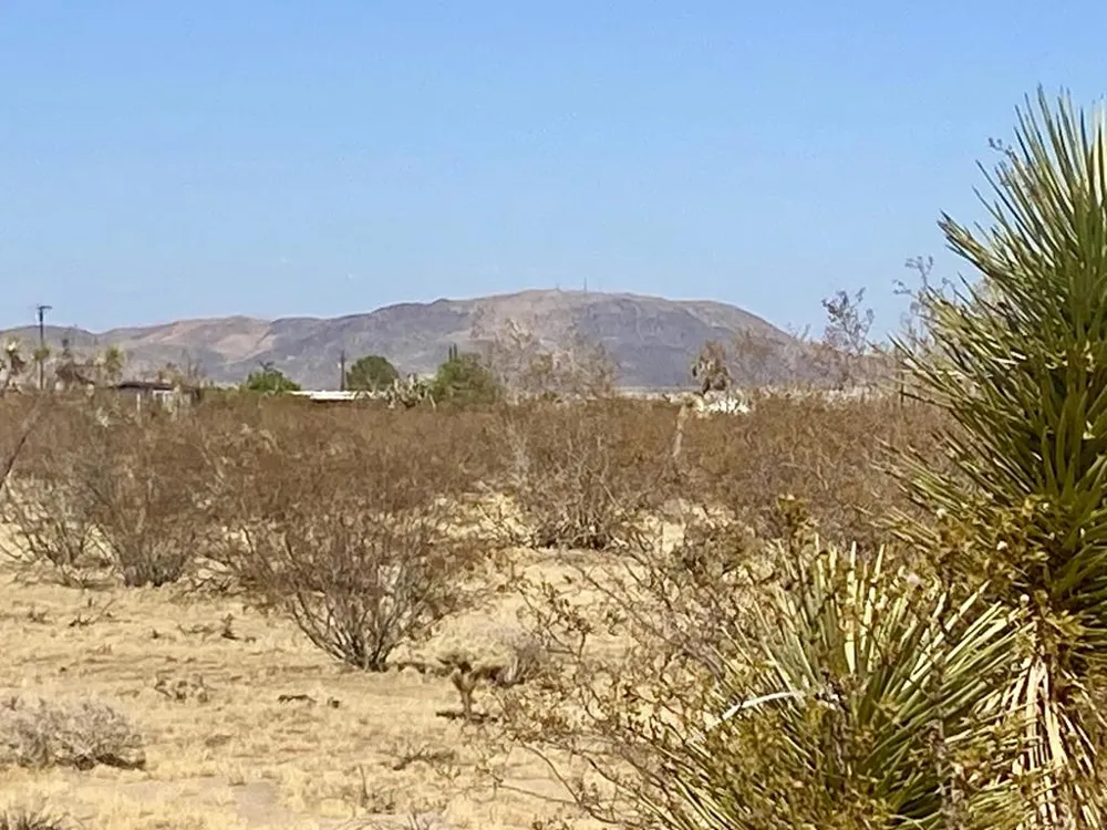 109 Border Avenue Joshua Tree, CA 92252