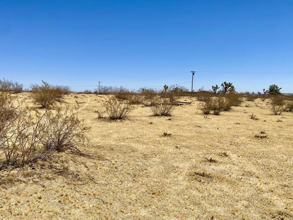 109 Border Avenue Joshua Tree, CA 92252