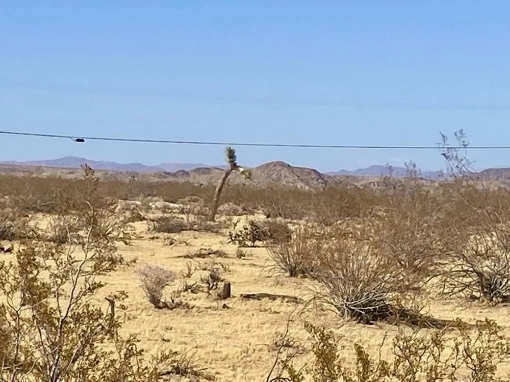 109 Border Avenue Joshua Tree, CA 92252