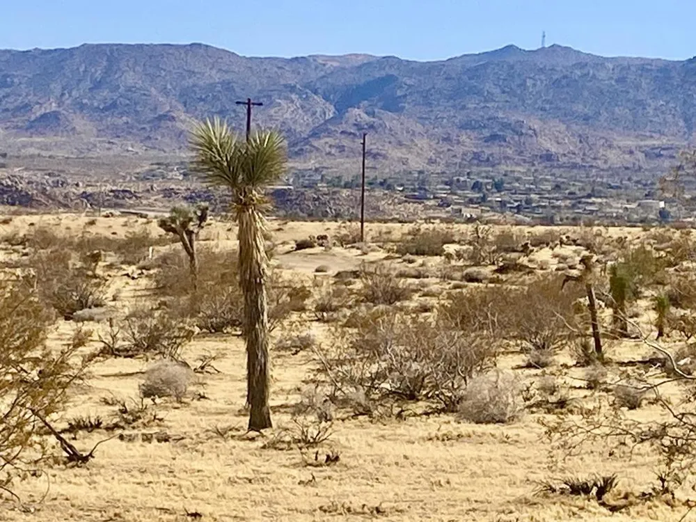 109 Border Avenue Joshua Tree, CA 92252