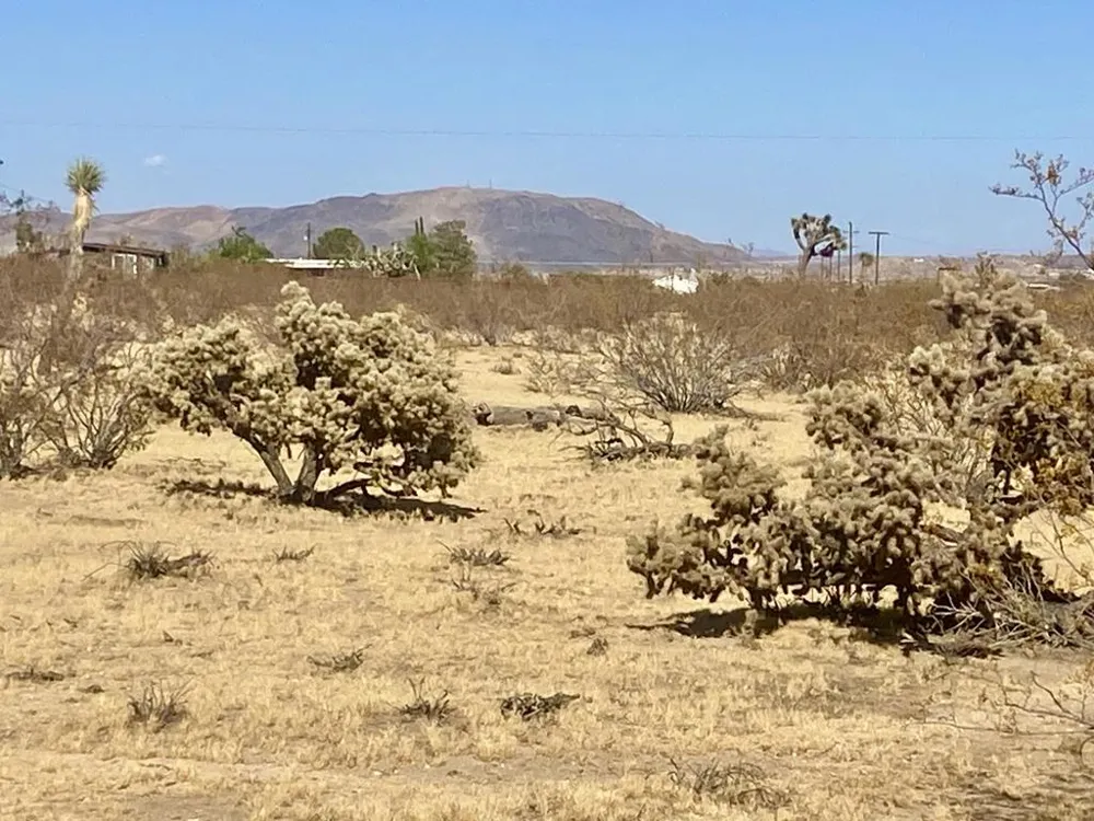 109 Border Avenue Joshua Tree, CA 92252