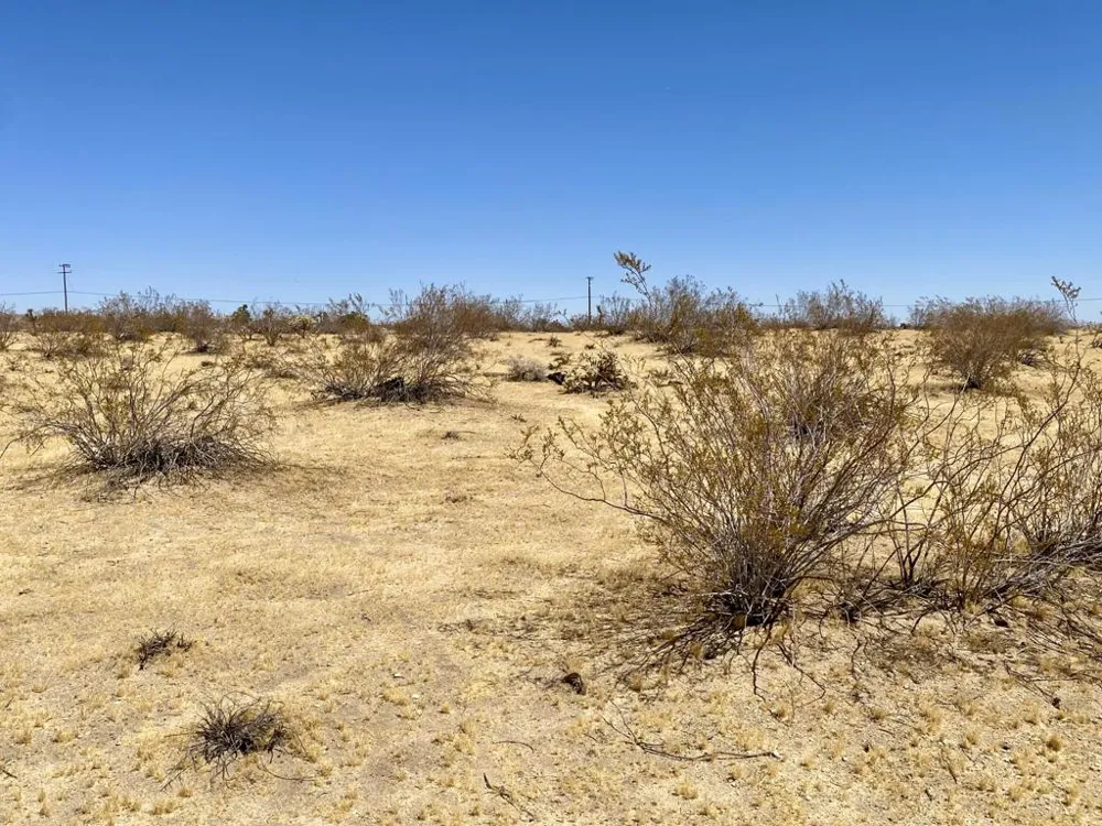 109 Border Avenue Joshua Tree, CA 92252