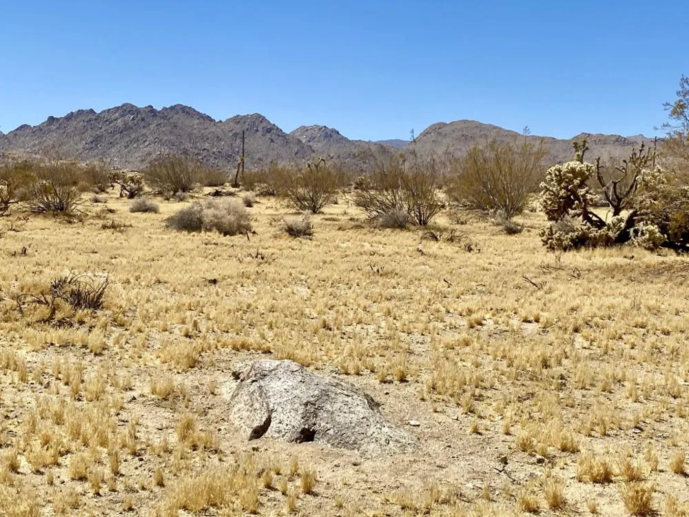 109 Border Avenue Joshua Tree, CA 92252