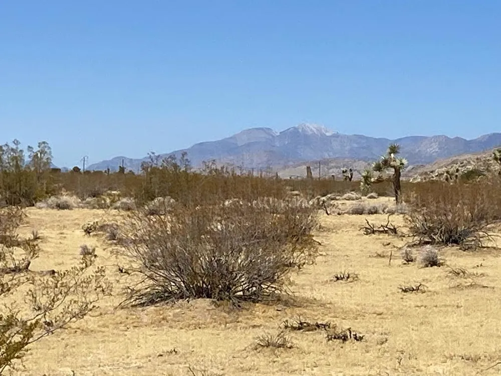 109 Border Avenue Joshua Tree, CA 92252