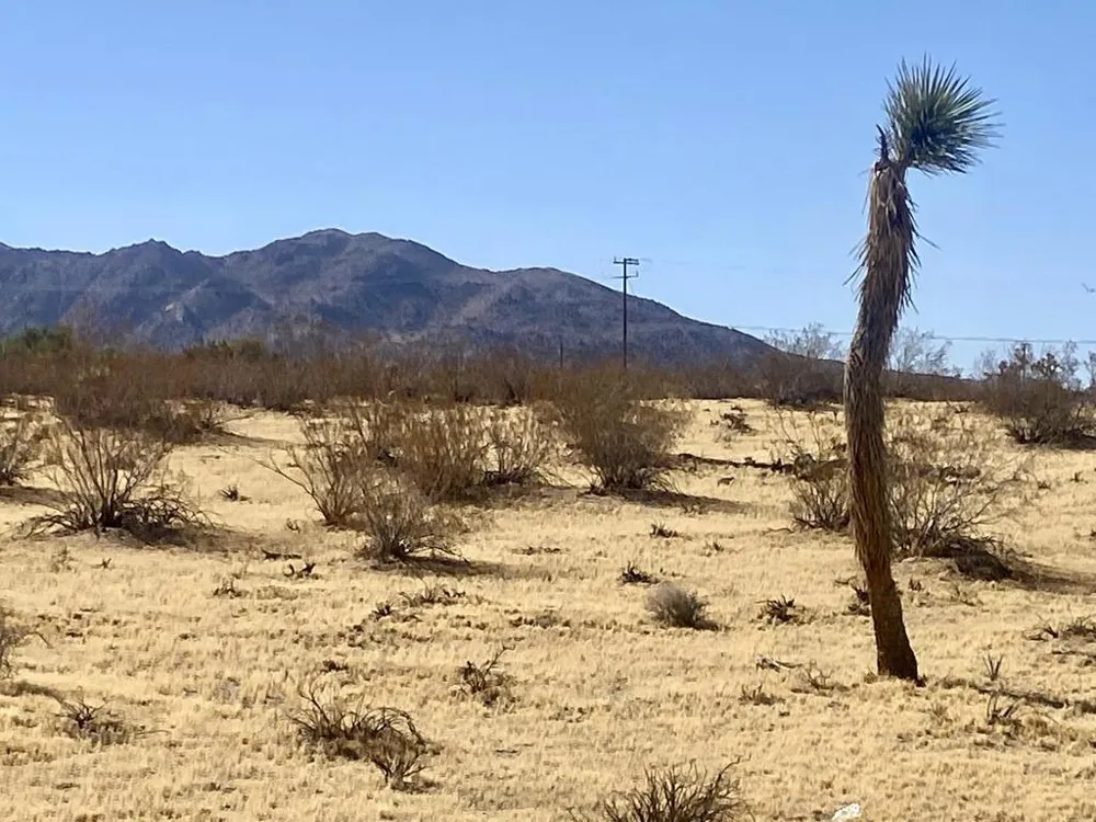 109 Border Avenue Joshua Tree, CA 92252
