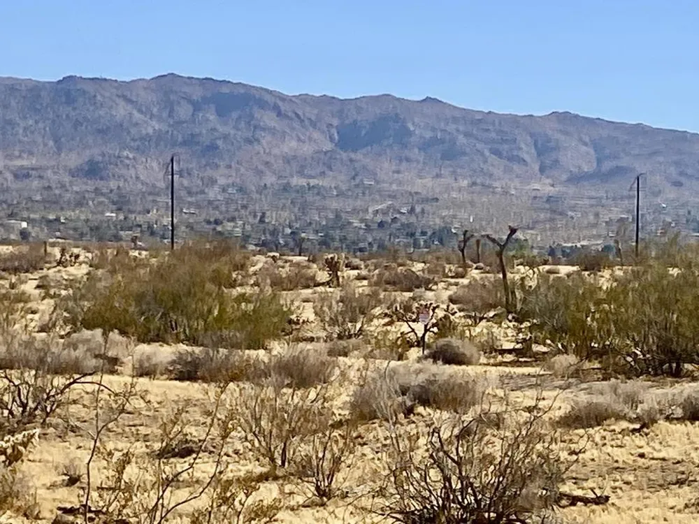 109 Border Avenue Joshua Tree, CA 92252