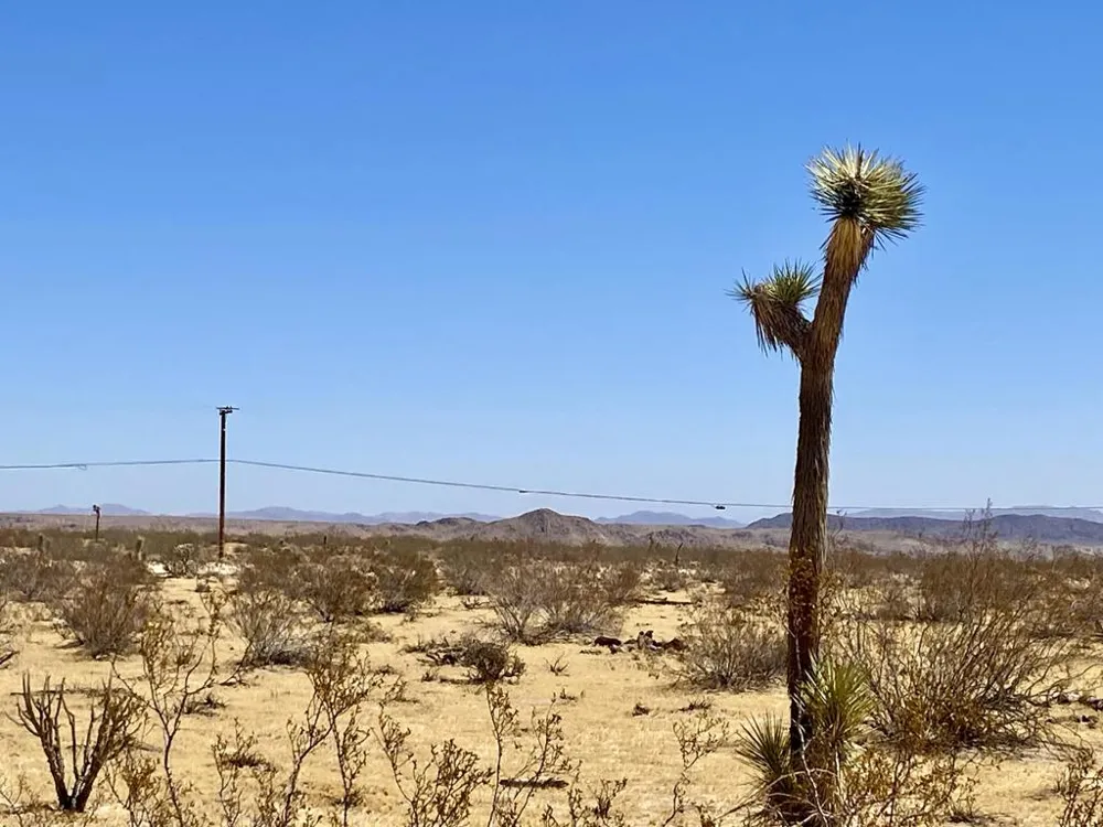 109 Border Avenue Joshua Tree, CA 92252