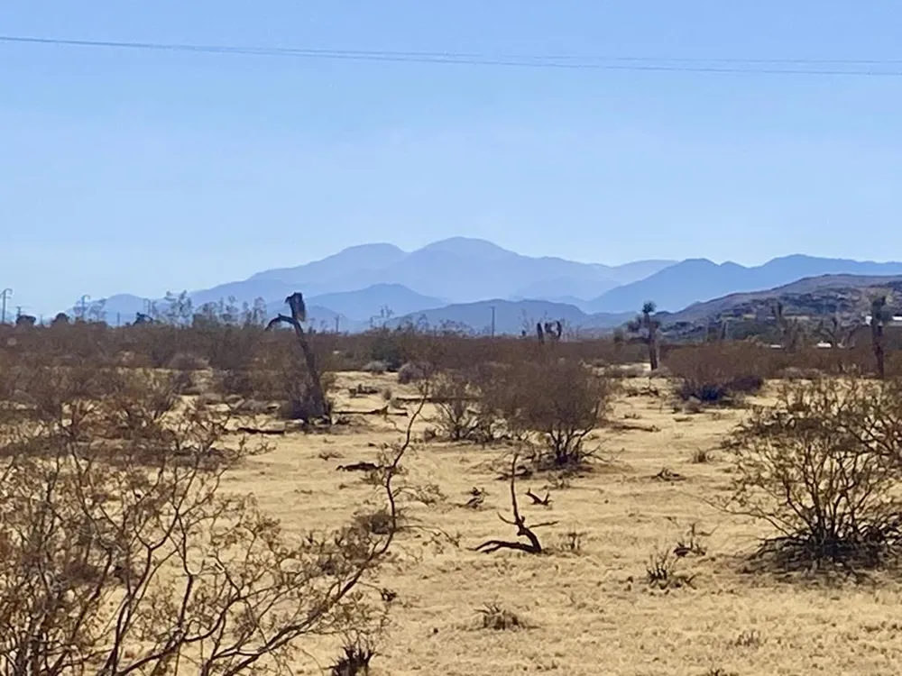 109 Border Avenue Joshua Tree, CA 92252