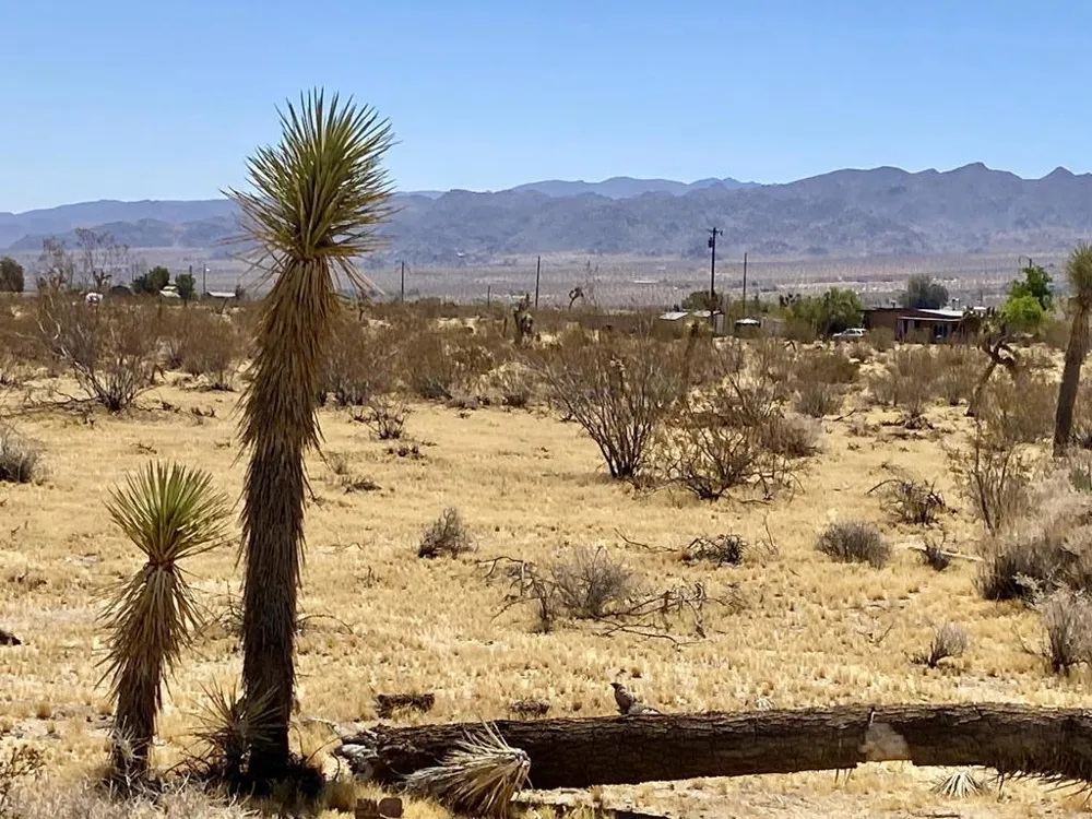 109 Border Avenue Joshua Tree, CA 92252