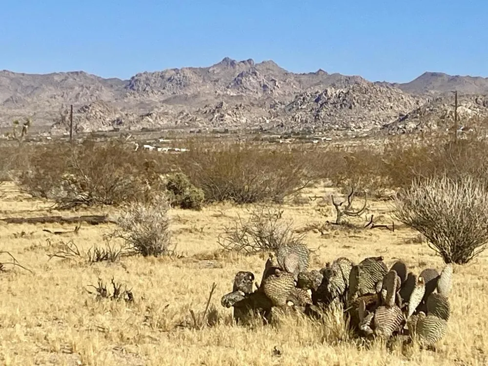 109 Border Avenue Joshua Tree, CA 92252