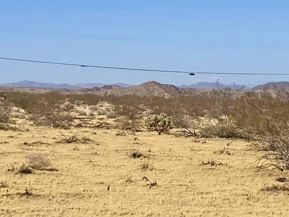 109 Border Avenue Joshua Tree, CA 92252