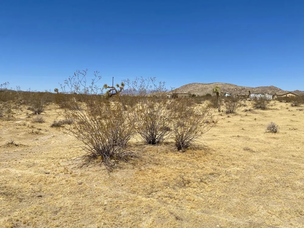 109 Border Avenue Joshua Tree, CA 92252