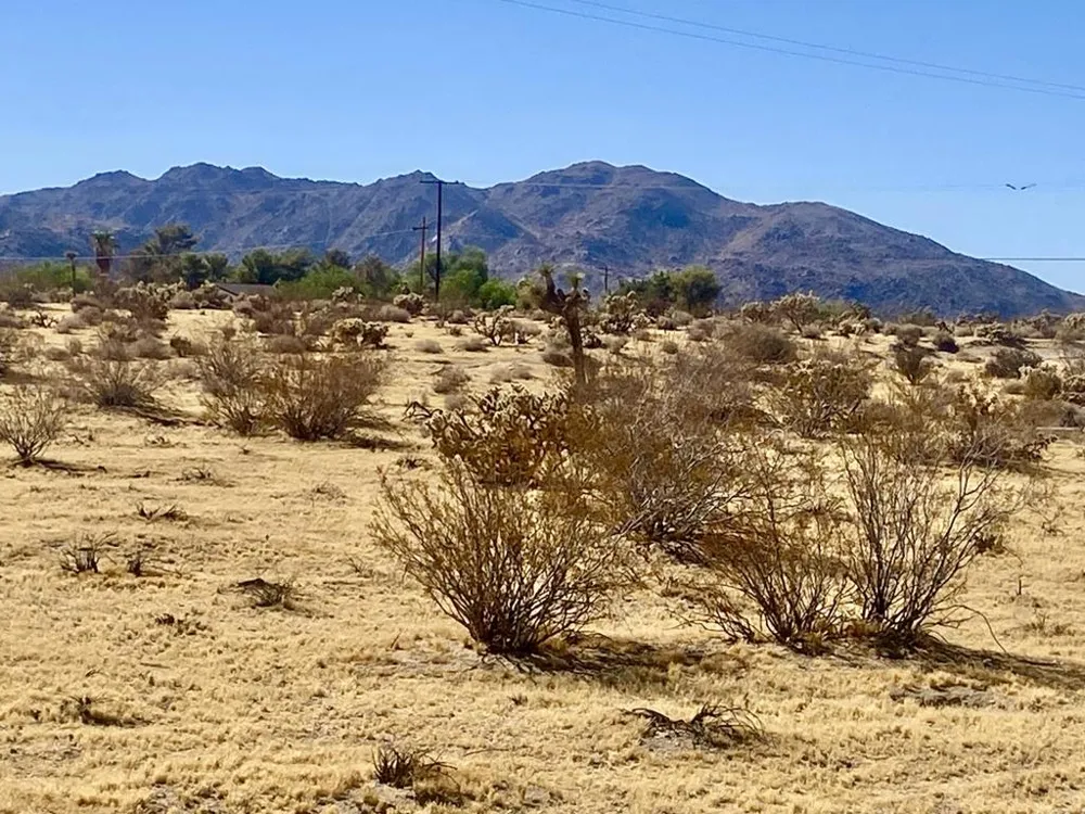 109 Border Avenue Joshua Tree, CA 92252