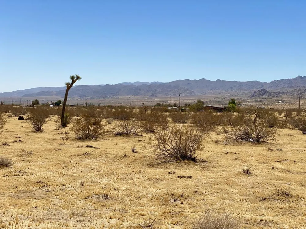 109 Border Avenue Joshua Tree, CA 92252