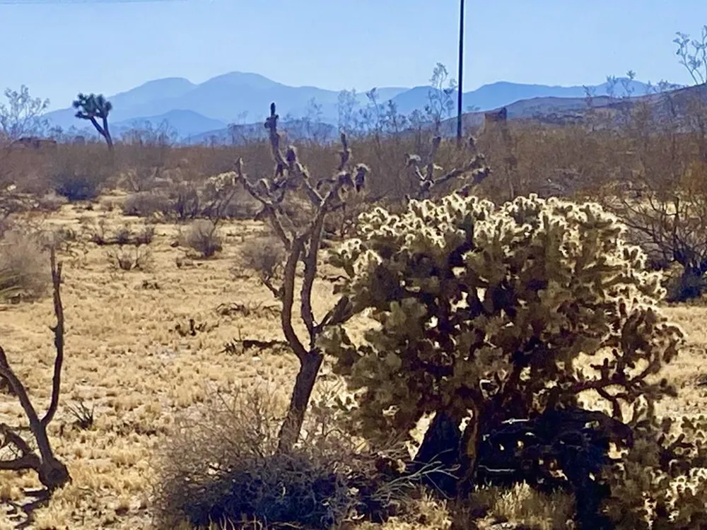 109 Border Avenue Joshua Tree, CA 92252
