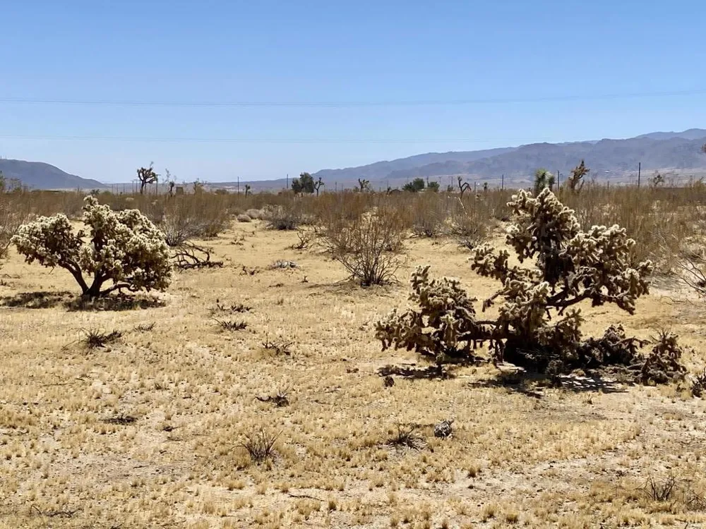 109 Border Avenue Joshua Tree, CA 92252