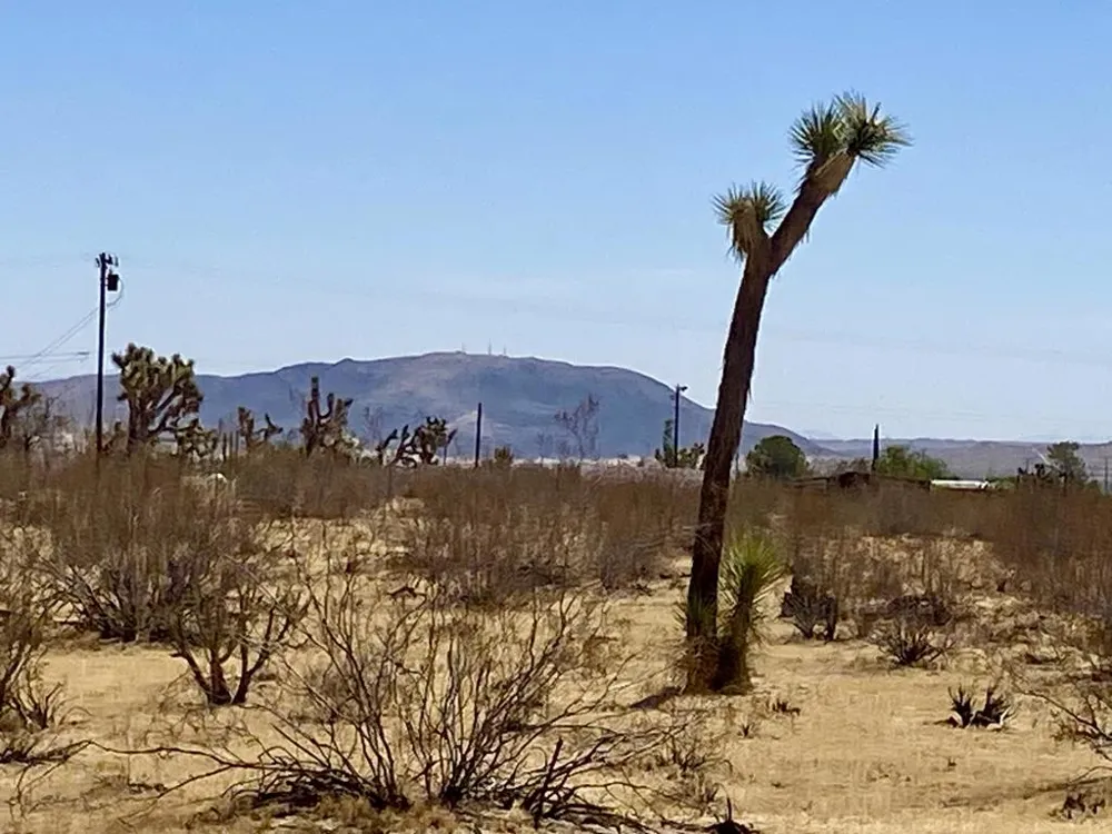109 Border Avenue Joshua Tree, CA 92252