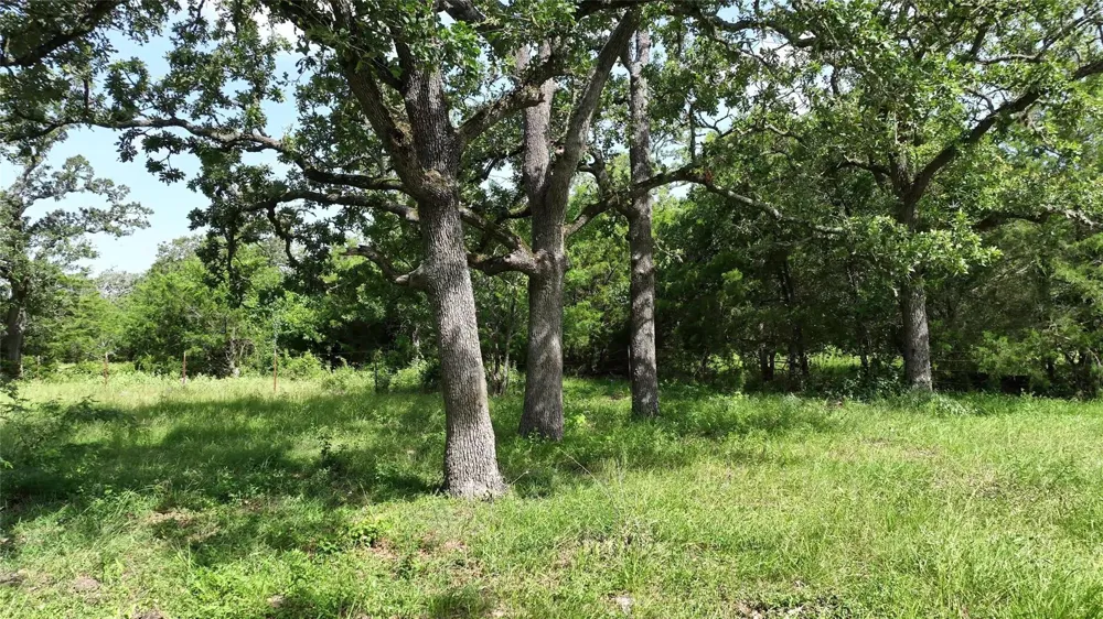 833 E Sh 159 Fayetteville, TX 78940