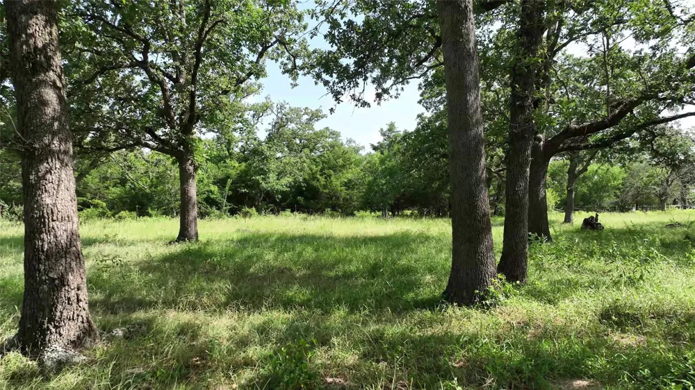 833 E Sh 159 Fayetteville, TX 78940