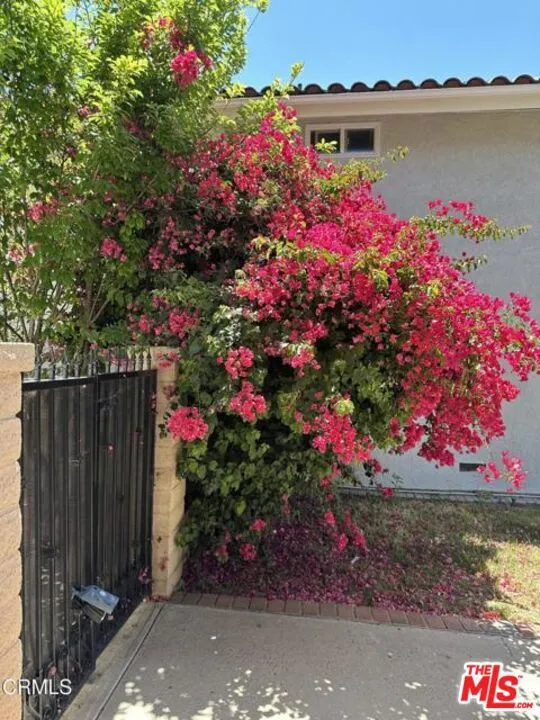 1024 Laguna Terrace Fullerton, CA 92835