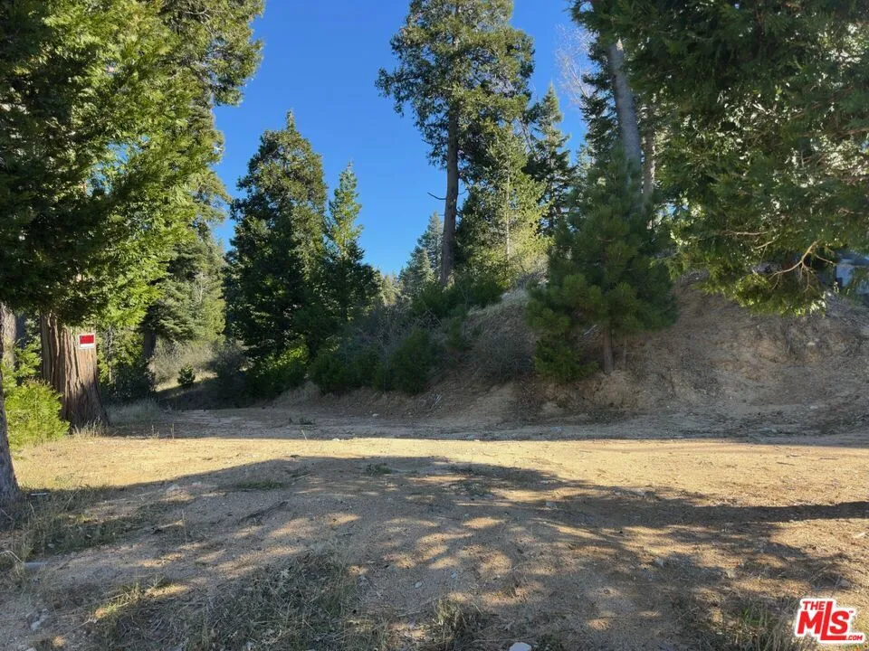 101 Mill Pond Road Lake Arrowhead, CA 92352