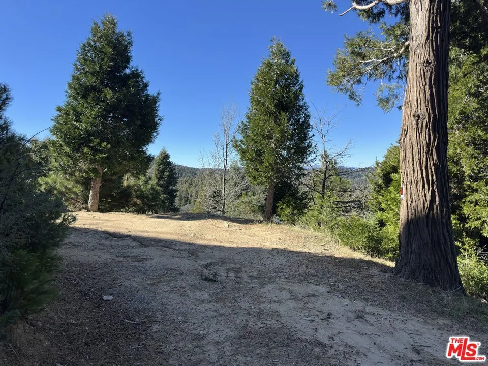 101 Mill Pond Road Lake Arrowhead, CA 92352