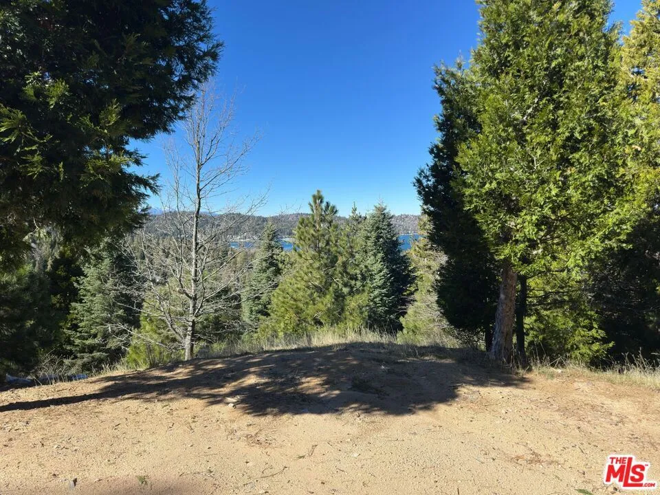 101 Mill Pond Road Lake Arrowhead, CA 92352
