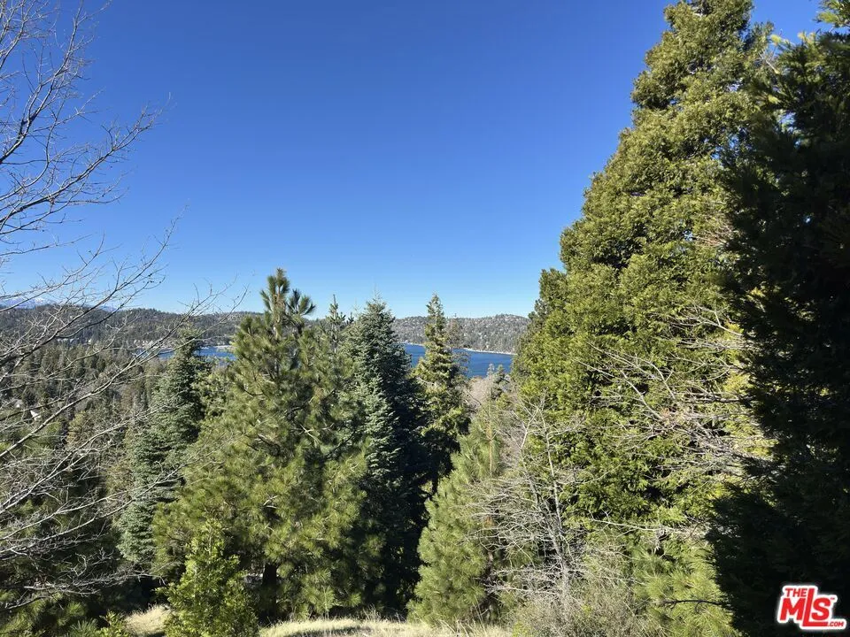 101 Mill Pond Road Lake Arrowhead, CA 92352