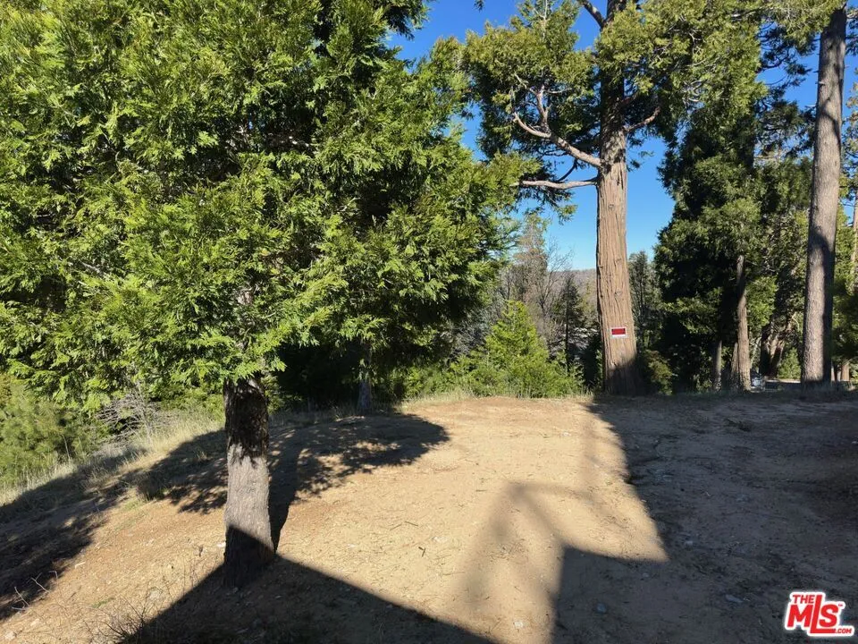 101 Mill Pond Road Lake Arrowhead, CA 92352