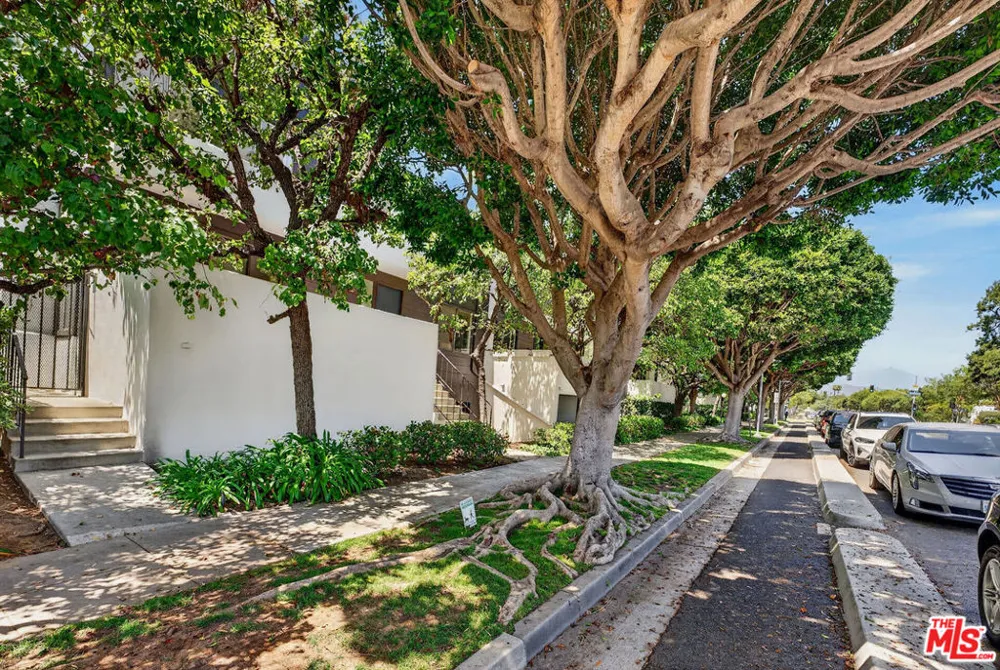 1314 17th Street #6 Santa Monica, CA 90404