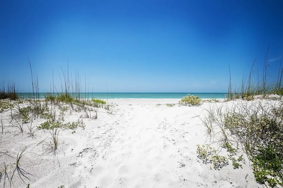 19519 GULF BOULEVARD #202 Indian Shores, FL 33785