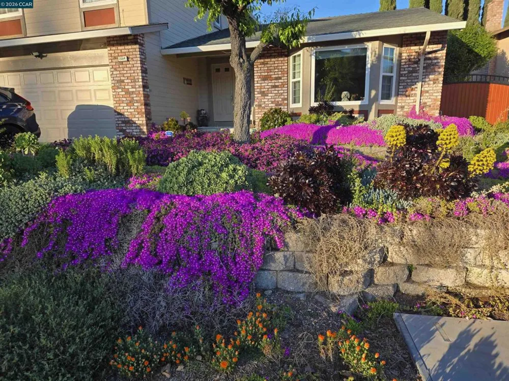 2504 Silverado Dr Antioch, CA 94509