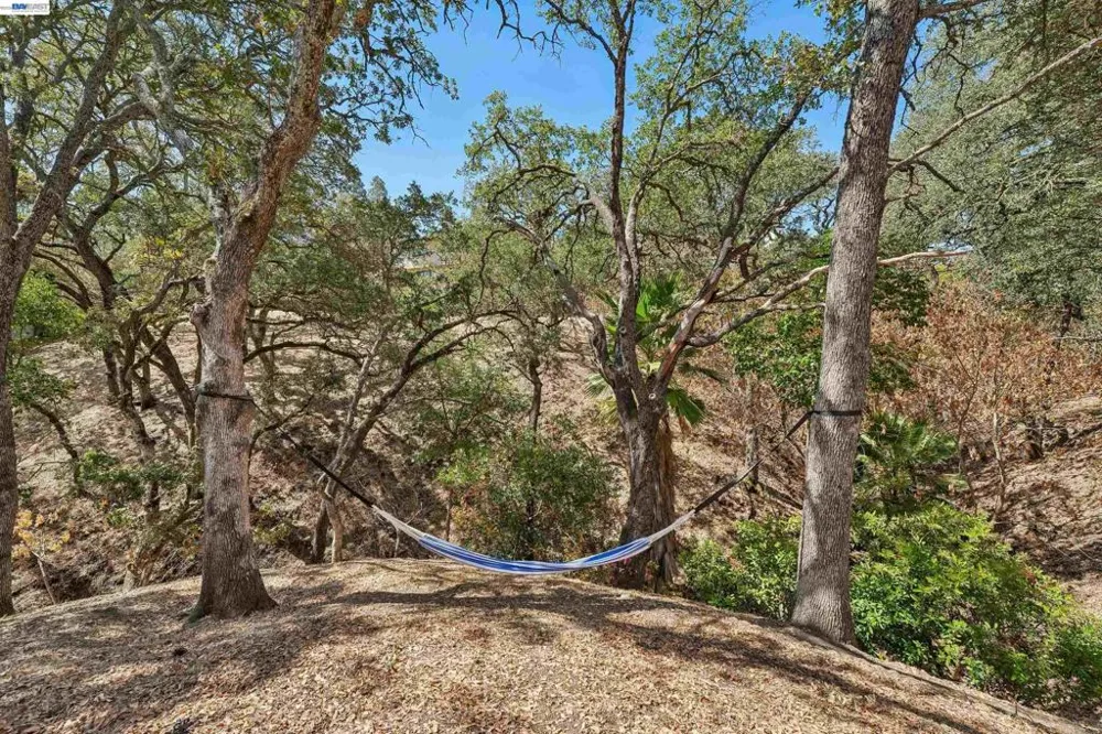 135 Saint Germain Lane Pleasant Hill, CA 94523