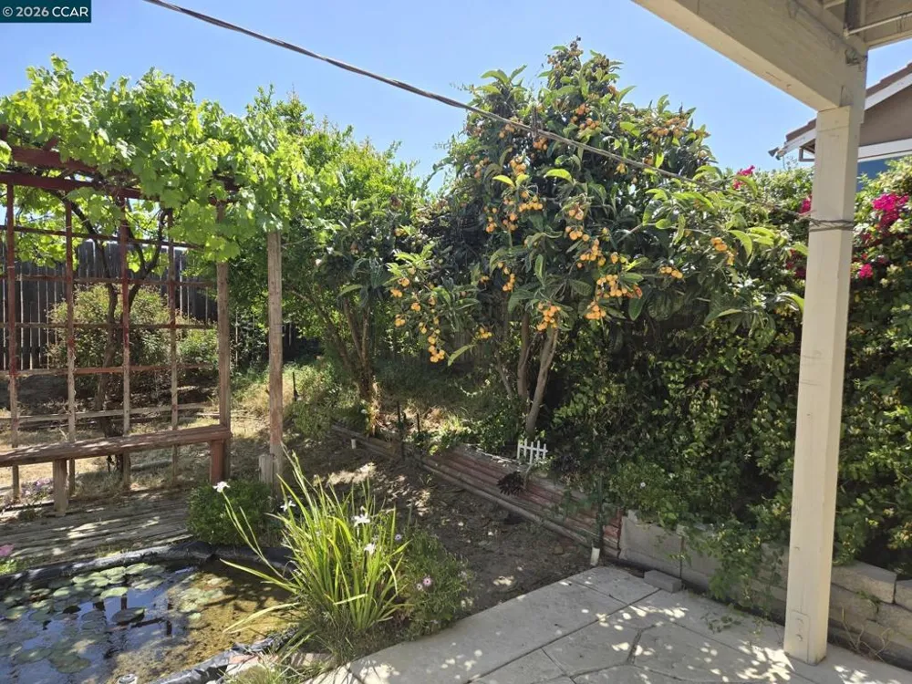 505 Jane Lane Oakley, CA 94561