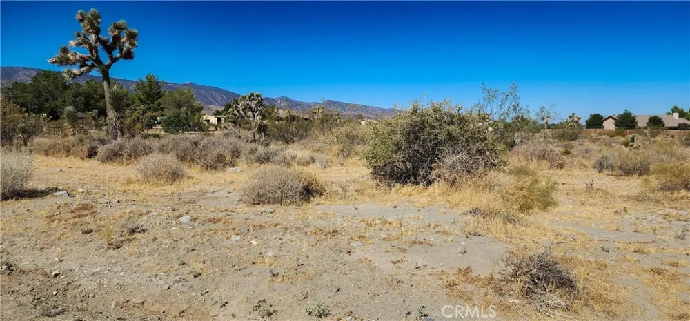 1 Evergreen Road Pinon Hills, CA 92372